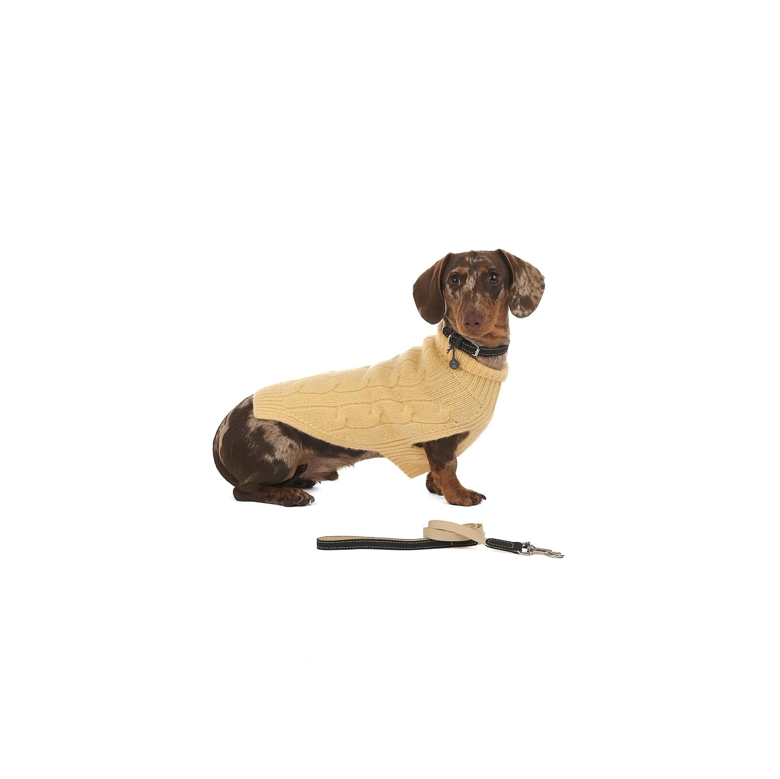 Baseball Dog Lead