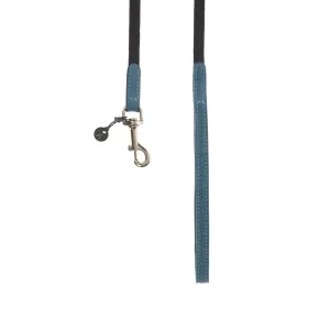 Baseball Dog Lead