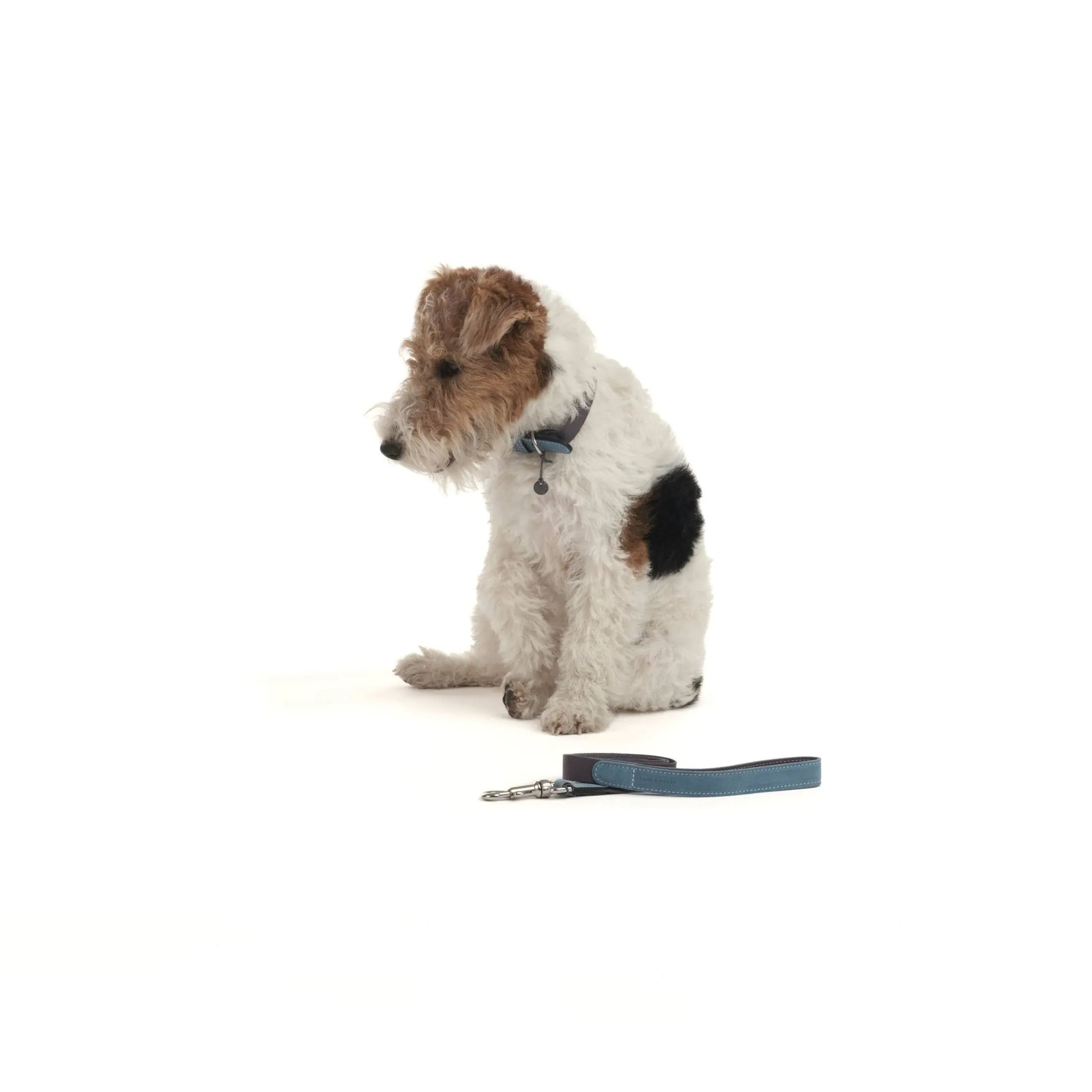 Baseball Dog Lead