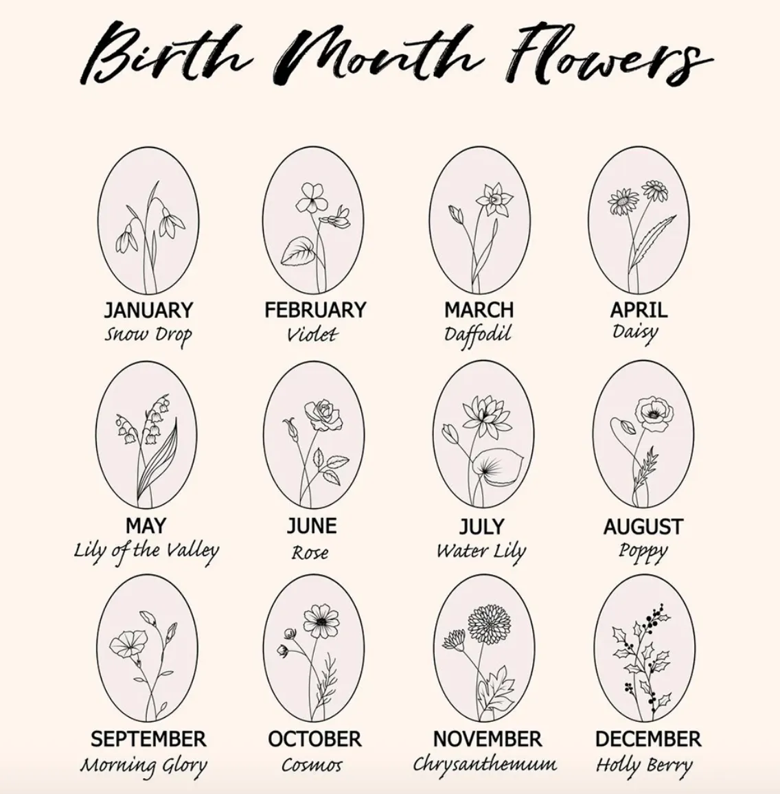 Birth Month Flowers