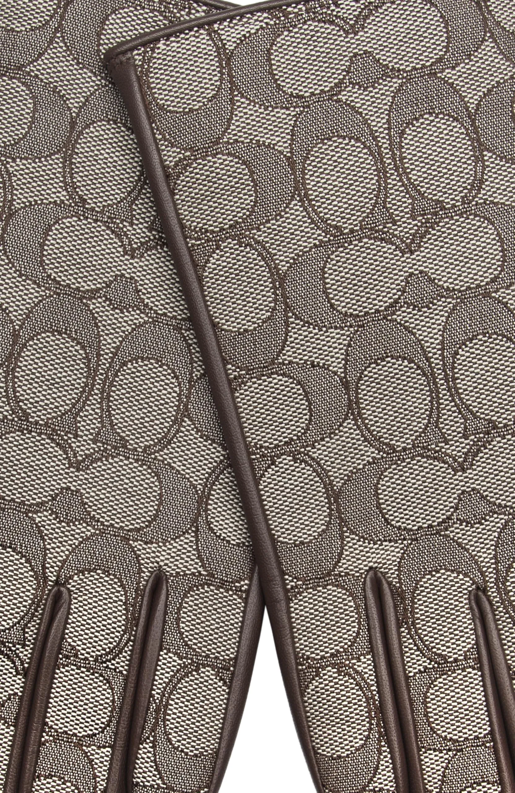 Coach SIGNATURE C LEATHER TECH GLOVE