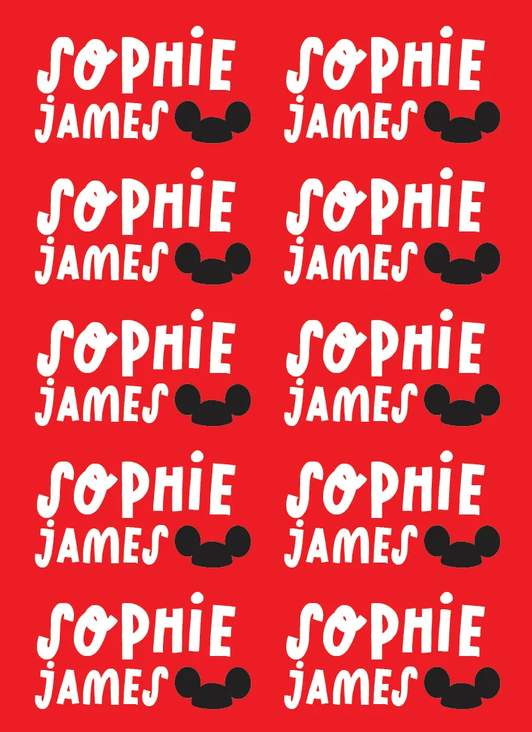 CUSTOM NAME LABELS | STICKER SHEETS <p style=font-size:16px>*more styles</p>