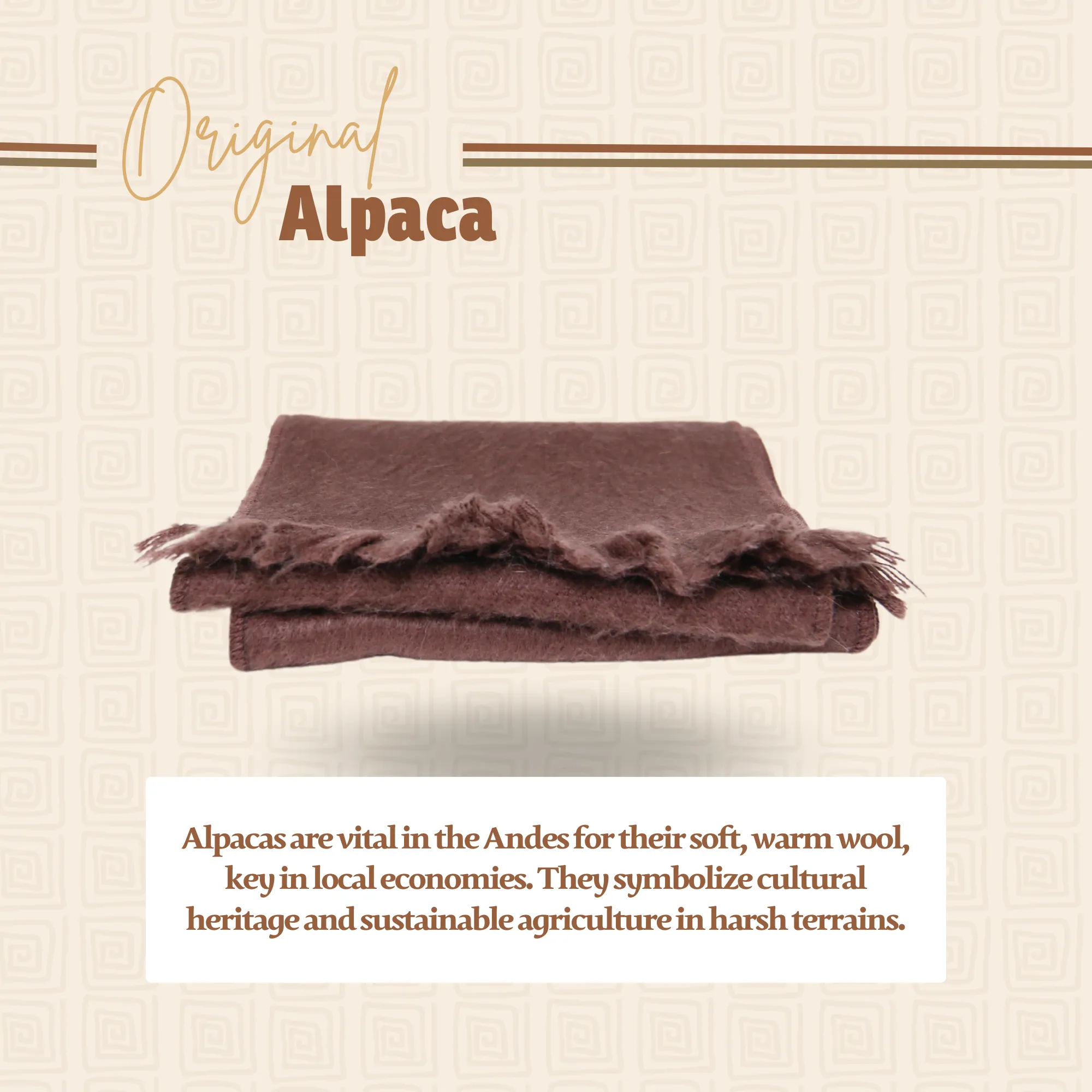 Dark Brown Alpaca Traditional Scarf