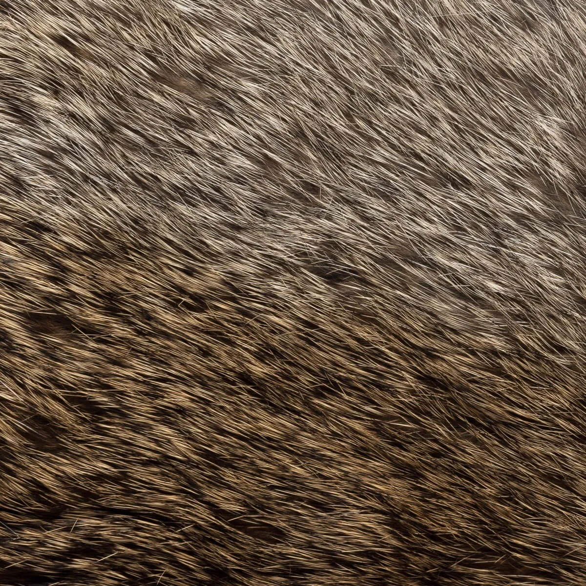 Francesca (black) - Italian lambskin leather gloves with brown rabbit fur lining