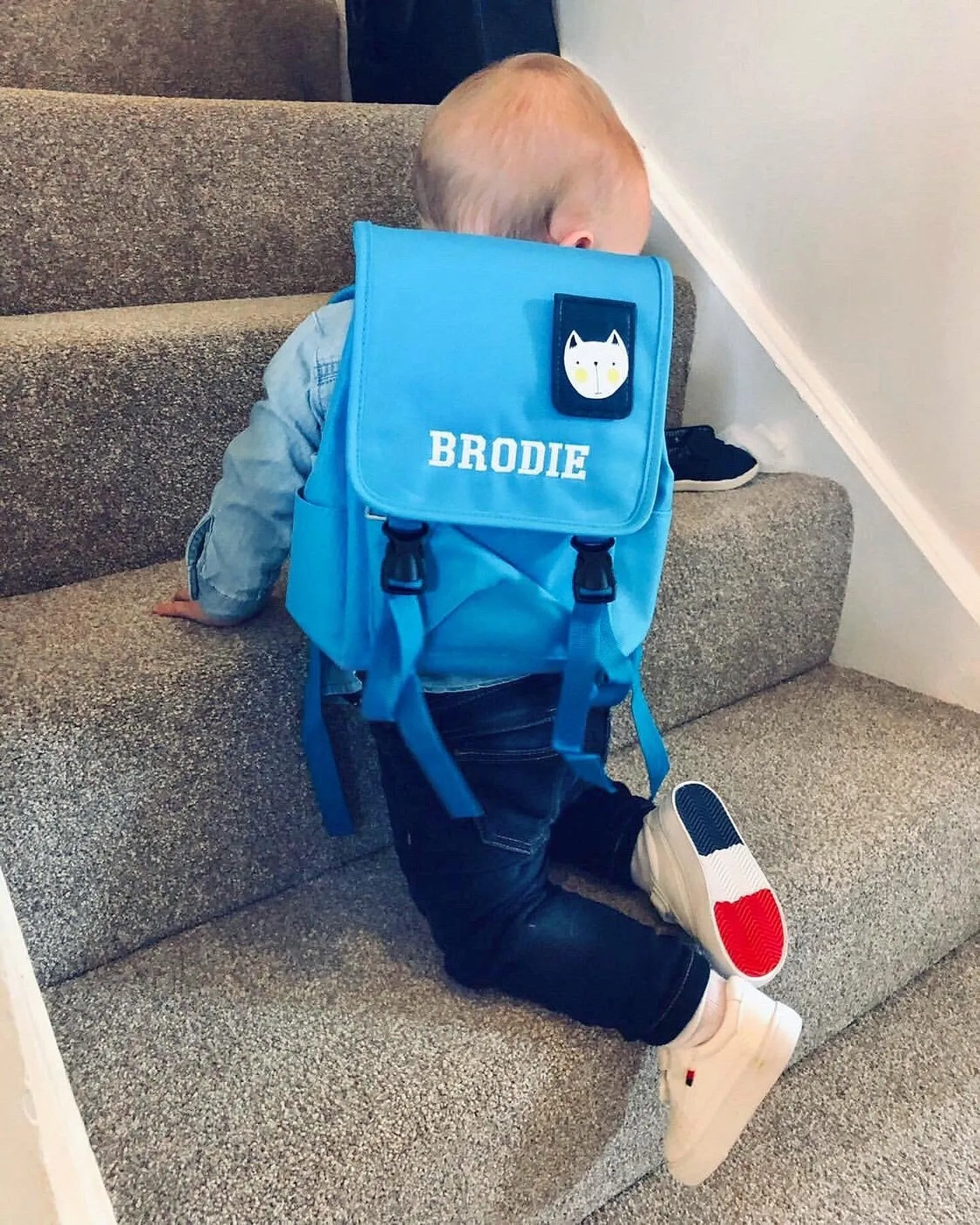 Personalised Unisex Mini Dog Nursery School Backpack Rucksack Bag (Multicoloured)