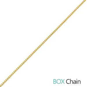 REPLACEMENT NECKLACE (CHAIN ONLY)