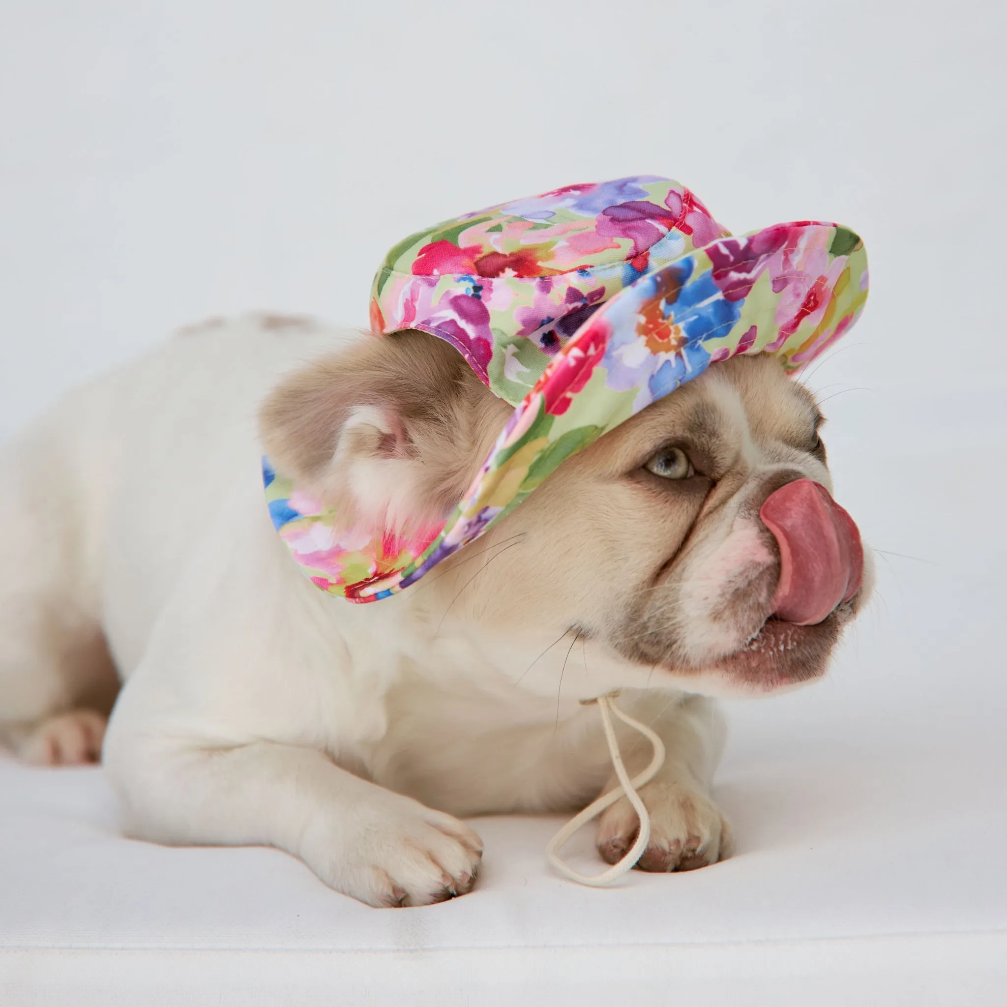 Spring Burst Dog Bucket Hat