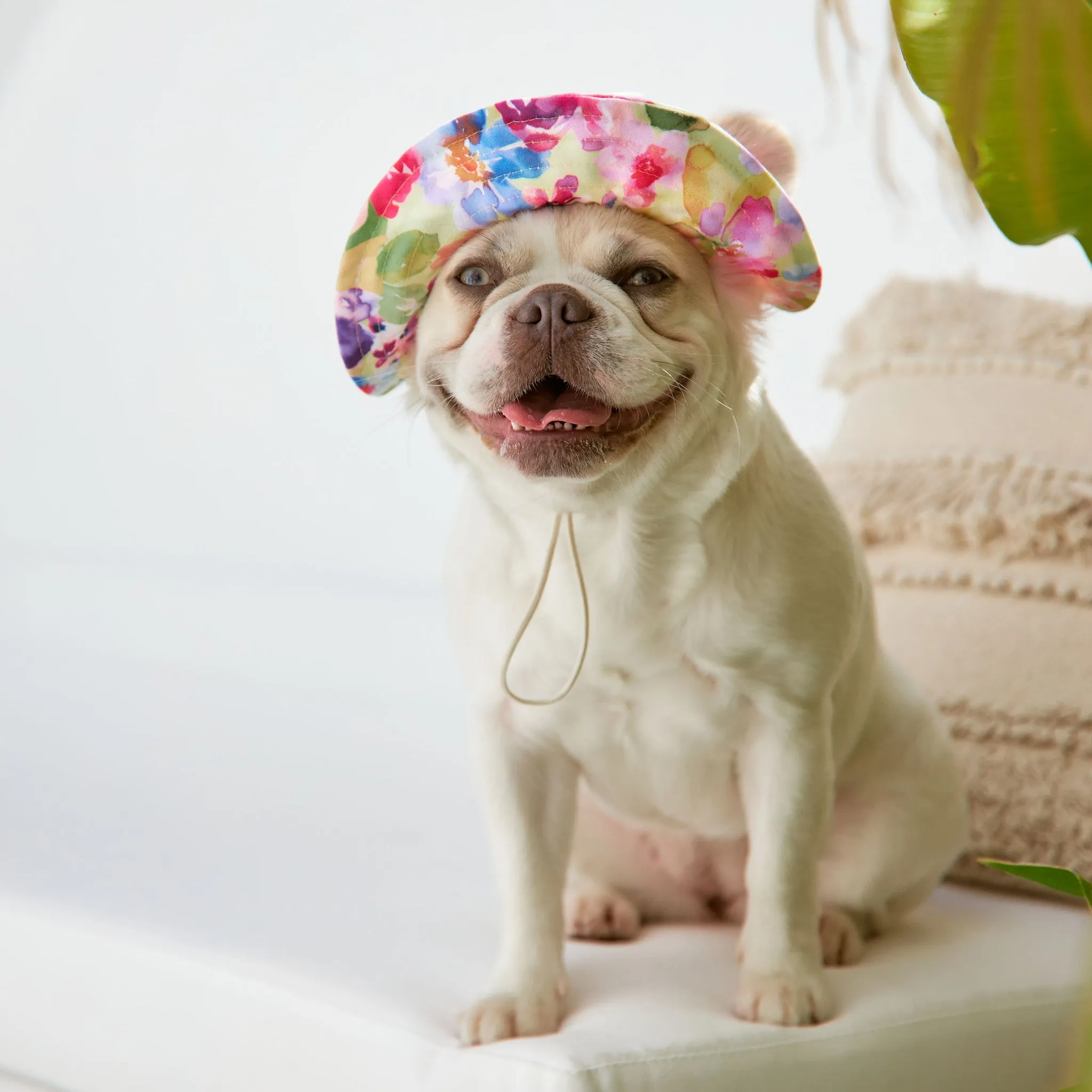 Spring Burst Dog Bucket Hat