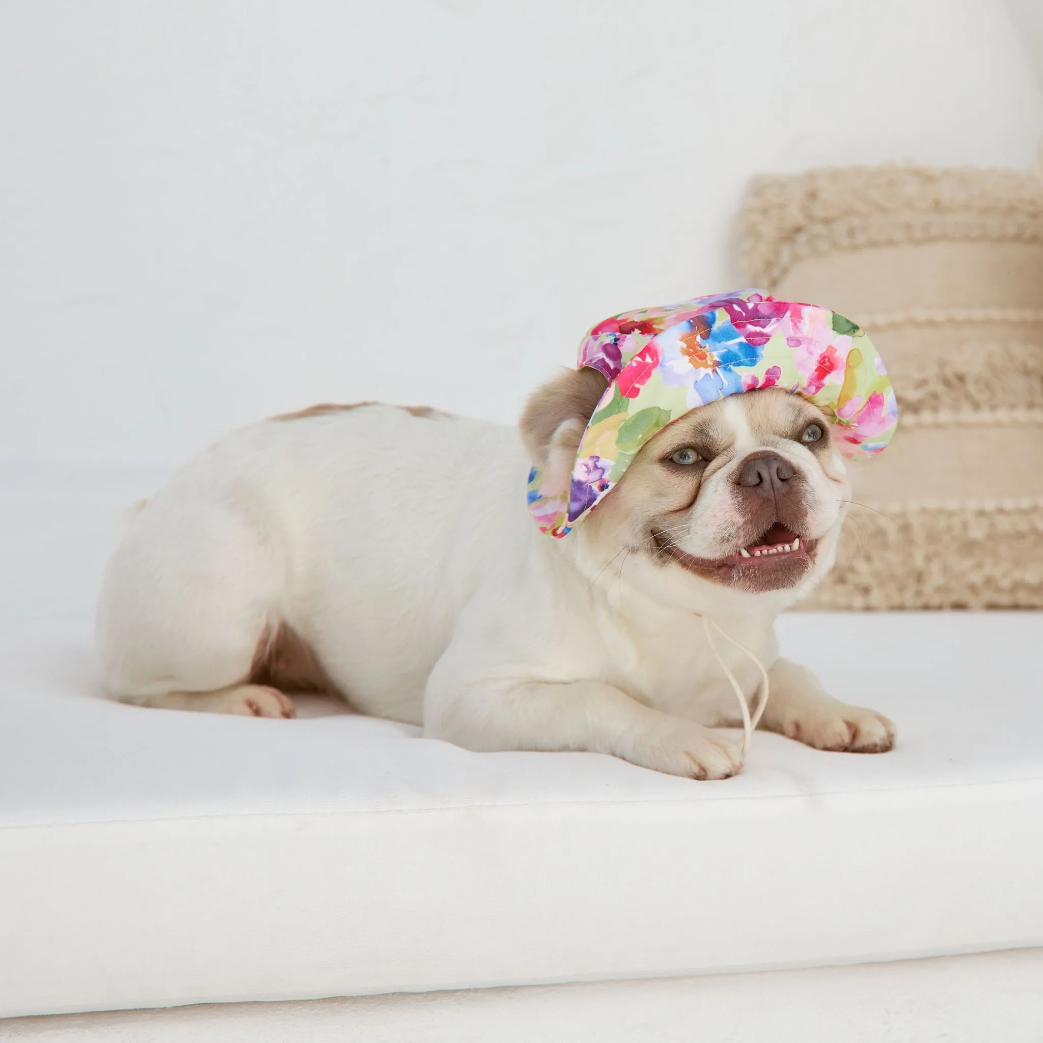 Spring Burst Dog Bucket Hat