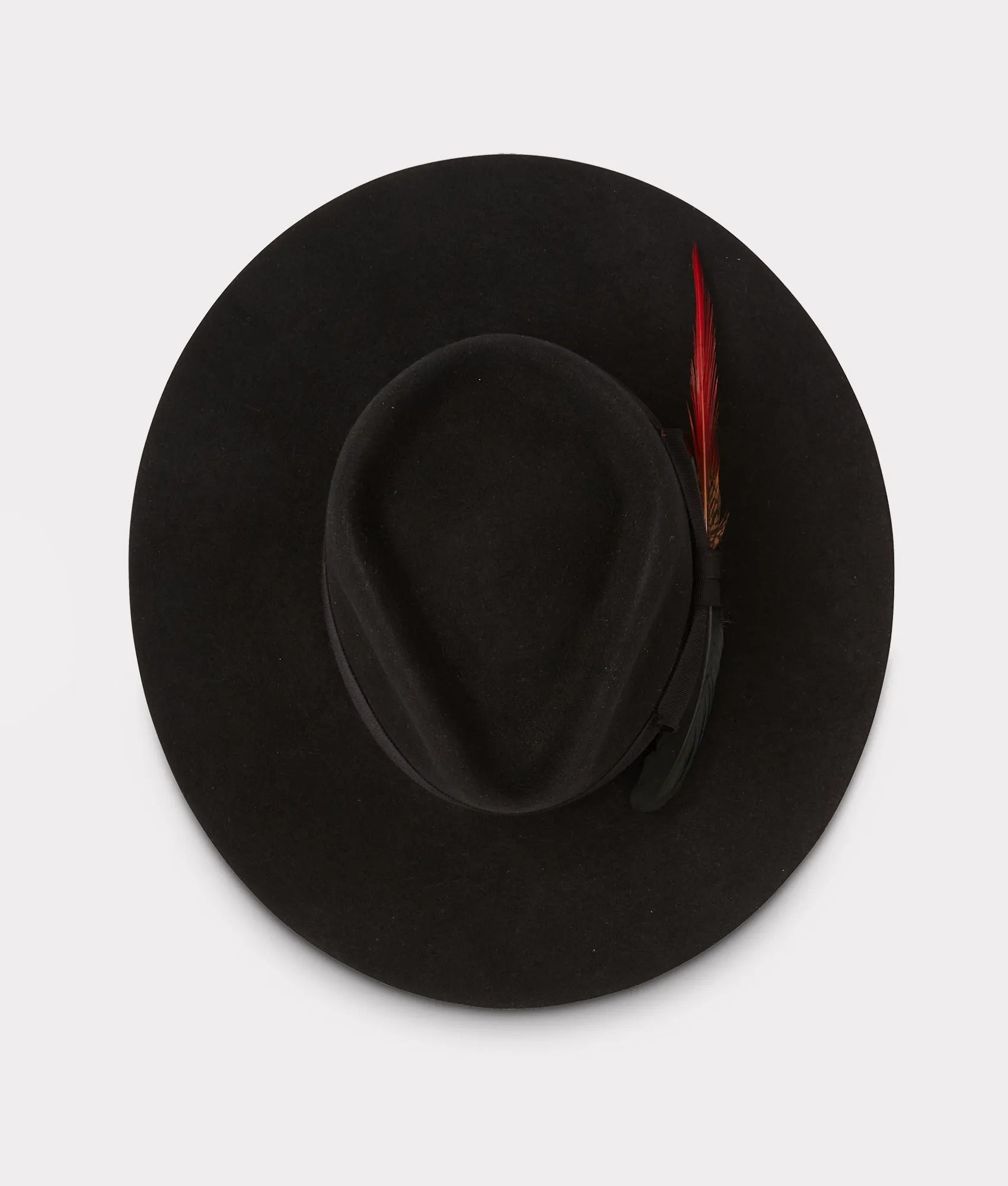 The Capitol :: Black