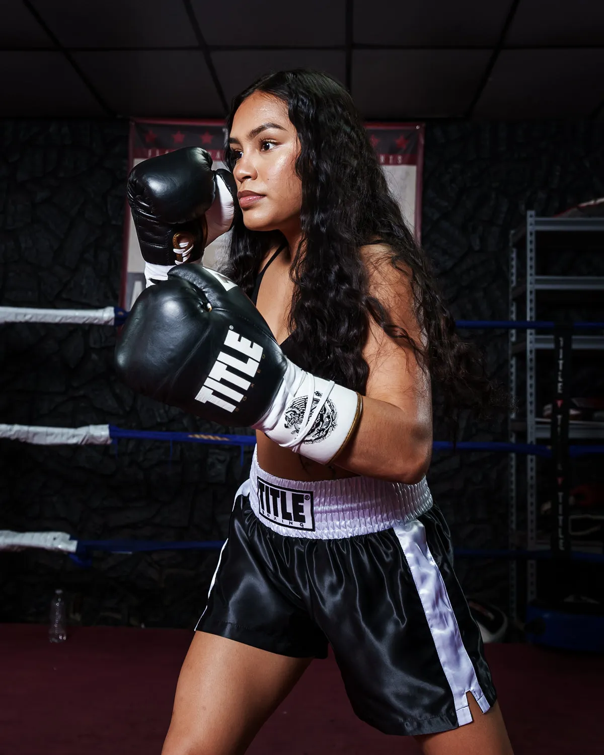 TITLE Boxeo Pro Fight Boxing Gloves