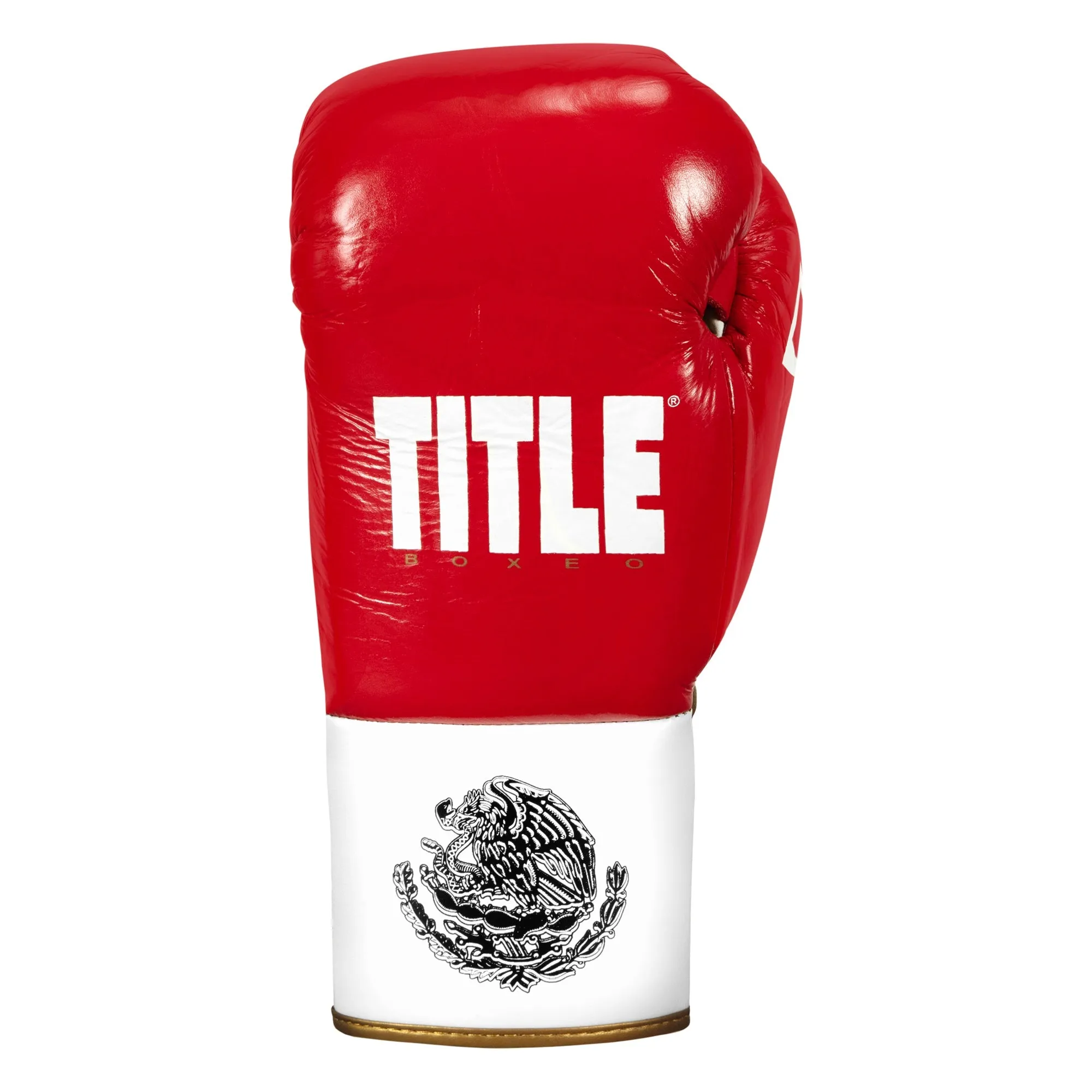 TITLE Boxeo Pro Fight Boxing Gloves
