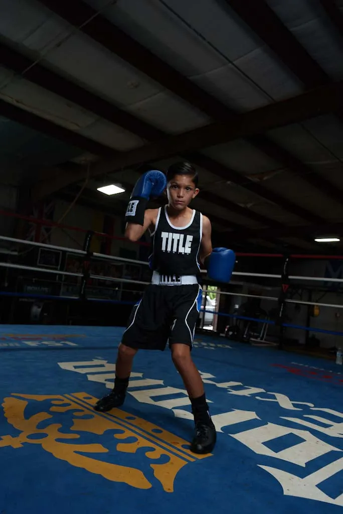 TITLE Boxing USA Boxing Competition Boxing Gloves - Elastic