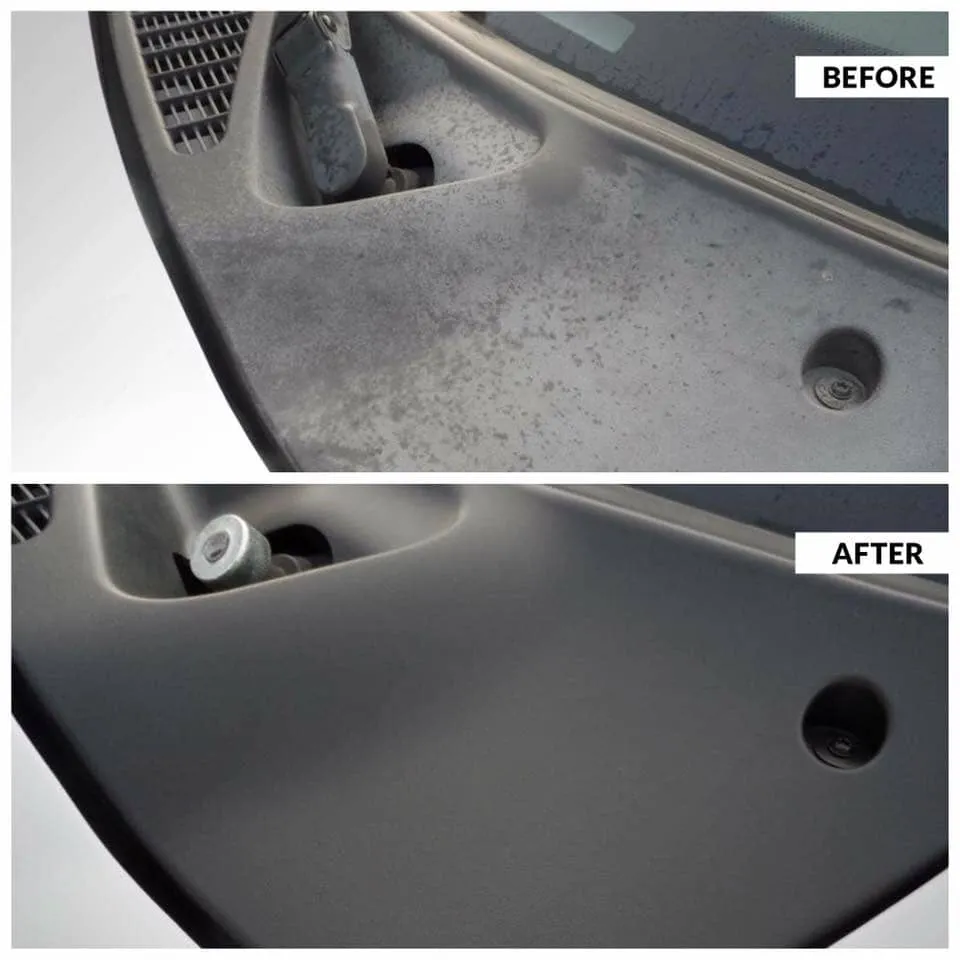 TRIM RENEW BLACK TRIM RESTORER - SALE