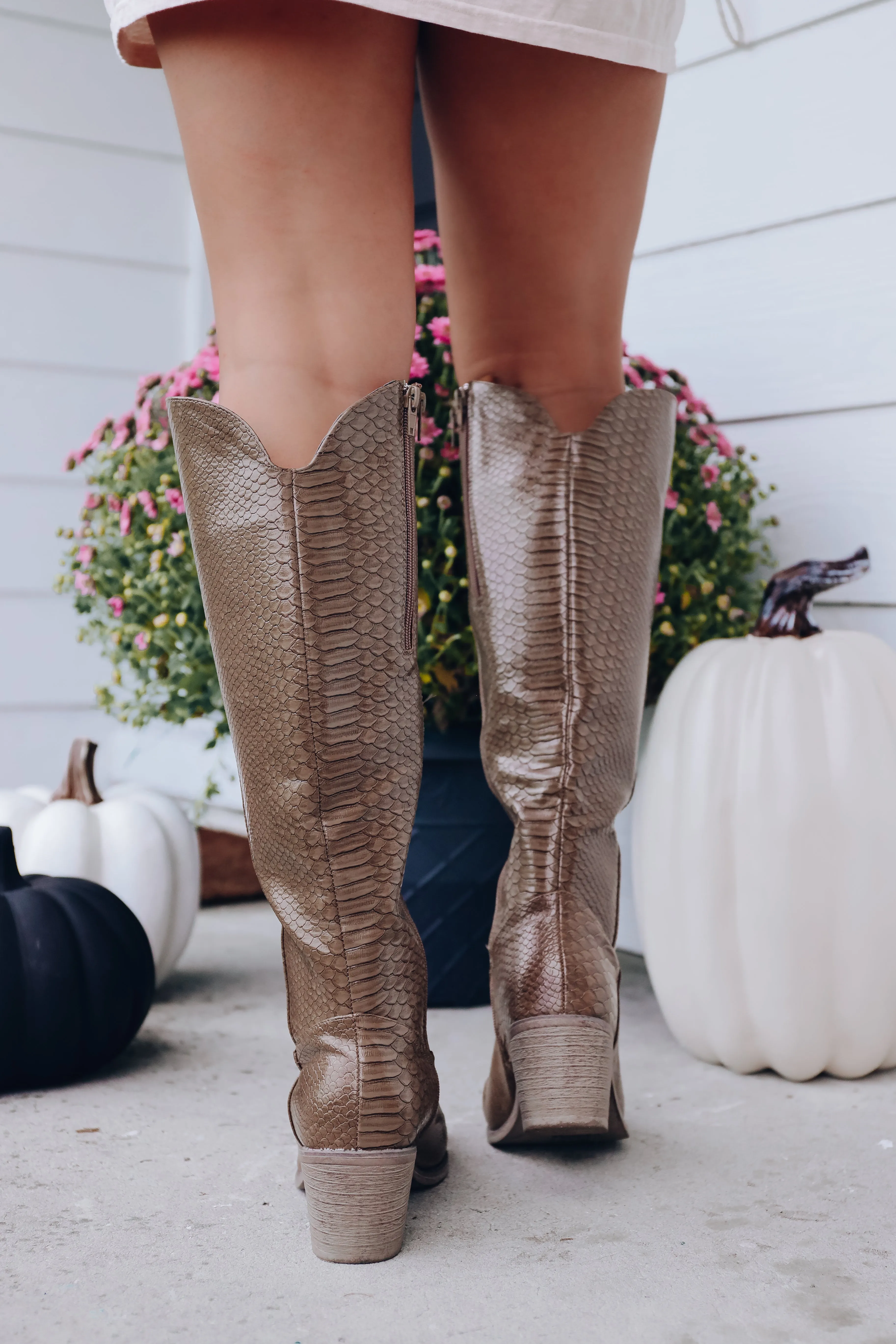 Winslow Snakeskin Knee High Boot
